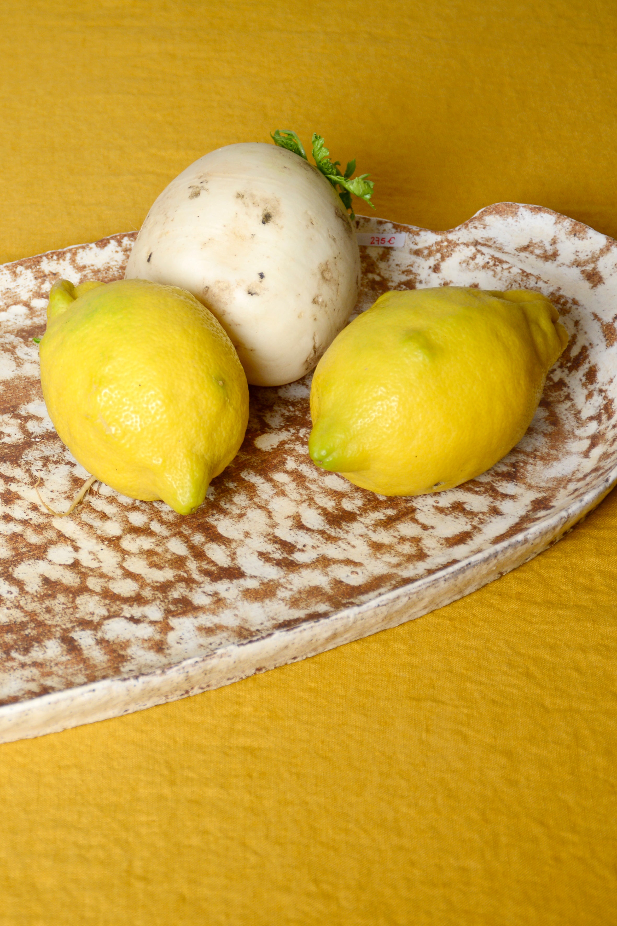 Bandeja alargada asas redondas