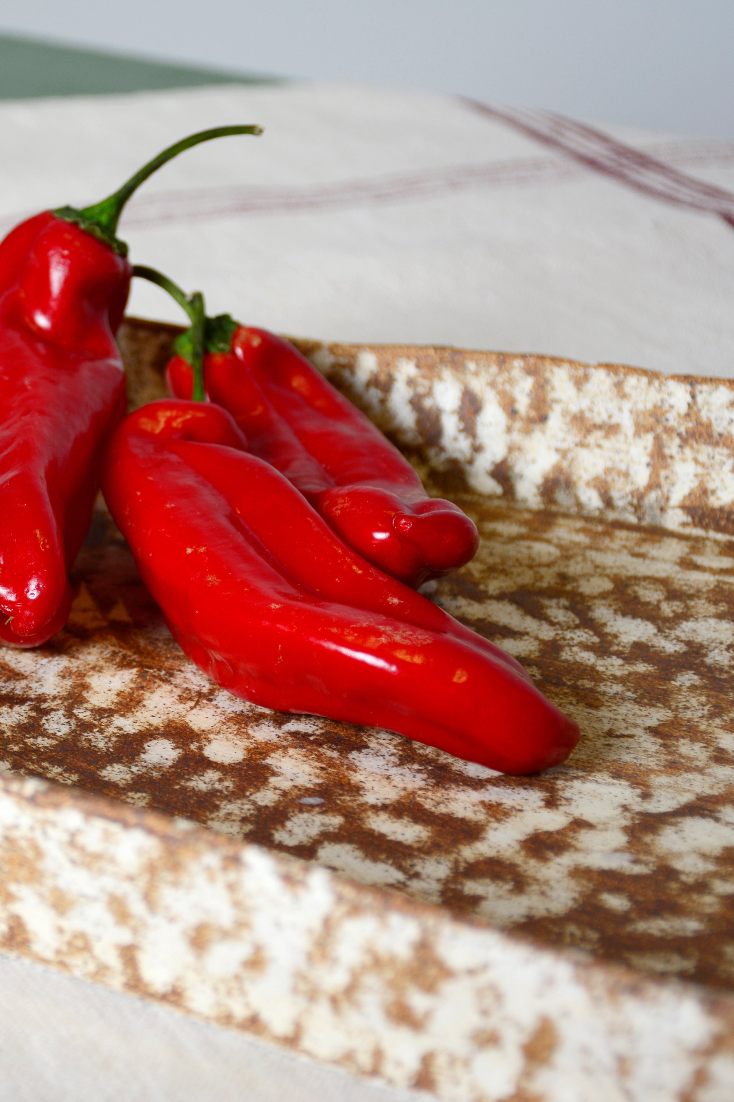 Bandeja alargada asas redondas