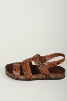 Sandalias phiton tiras