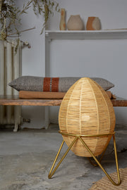 Egg lamp 