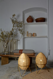 Egg lamp 