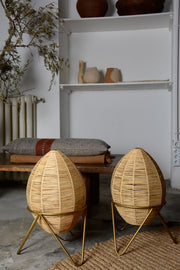 Egg lamp 