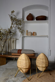 Egg lamp 