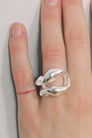 Anillo herradura