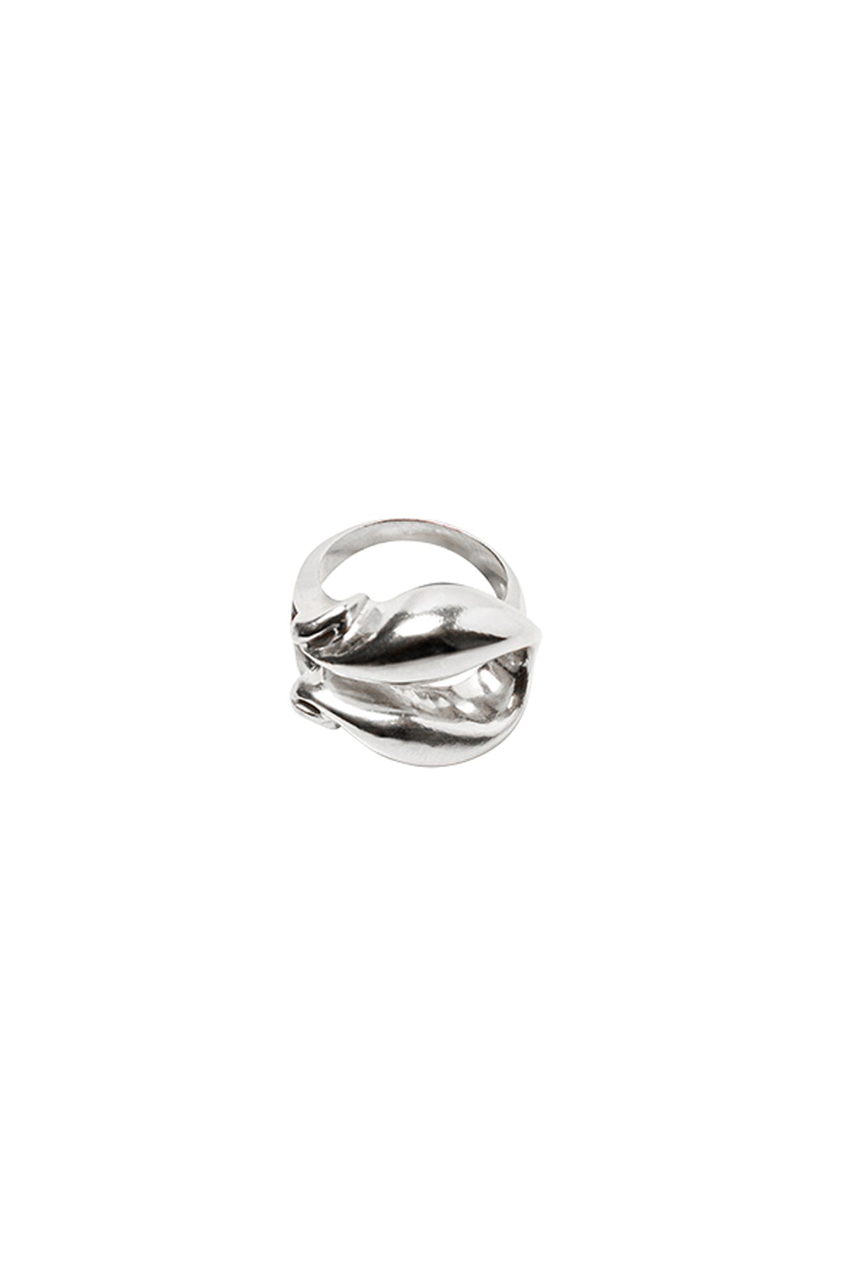 Anillo herradura