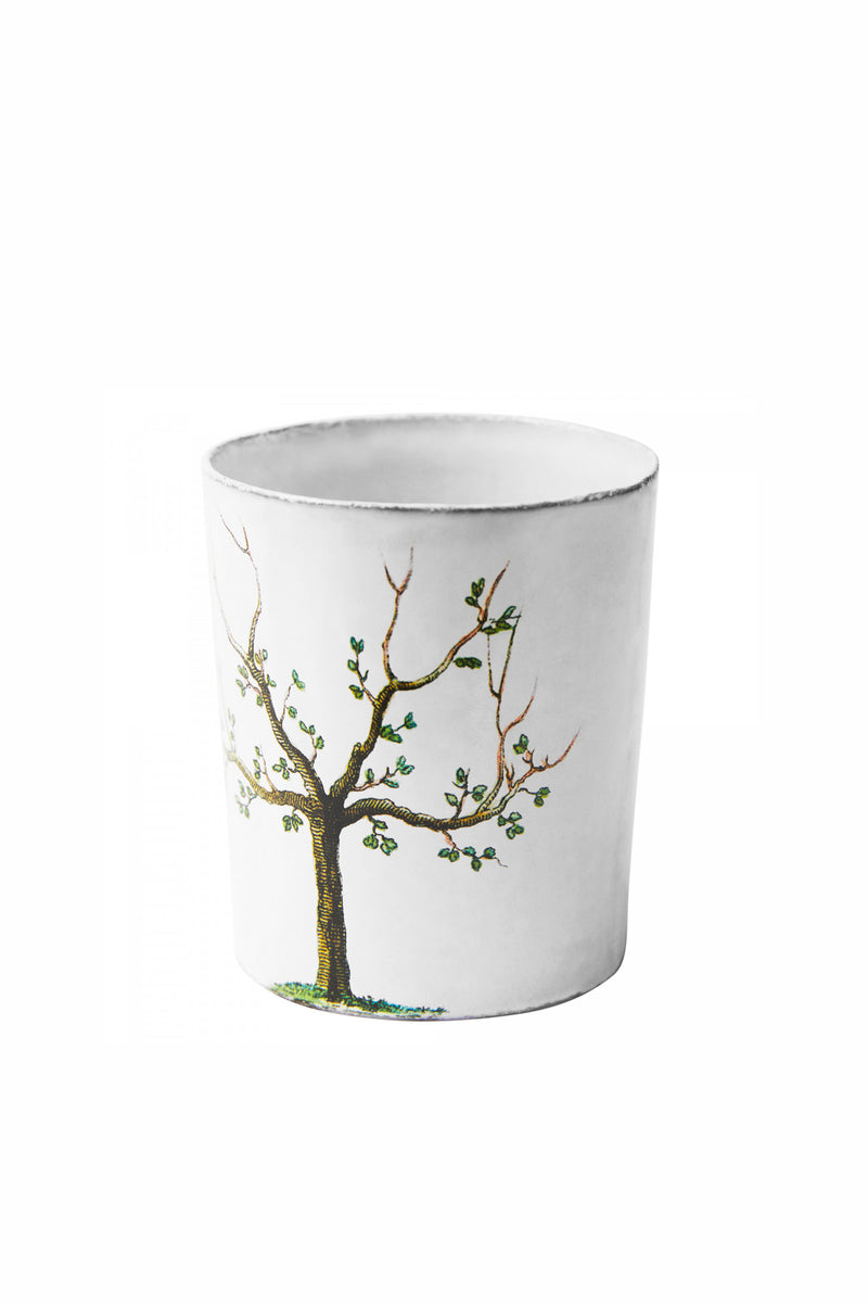 Vaso Árbol / Pera