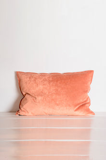 Pink velvet cushion 