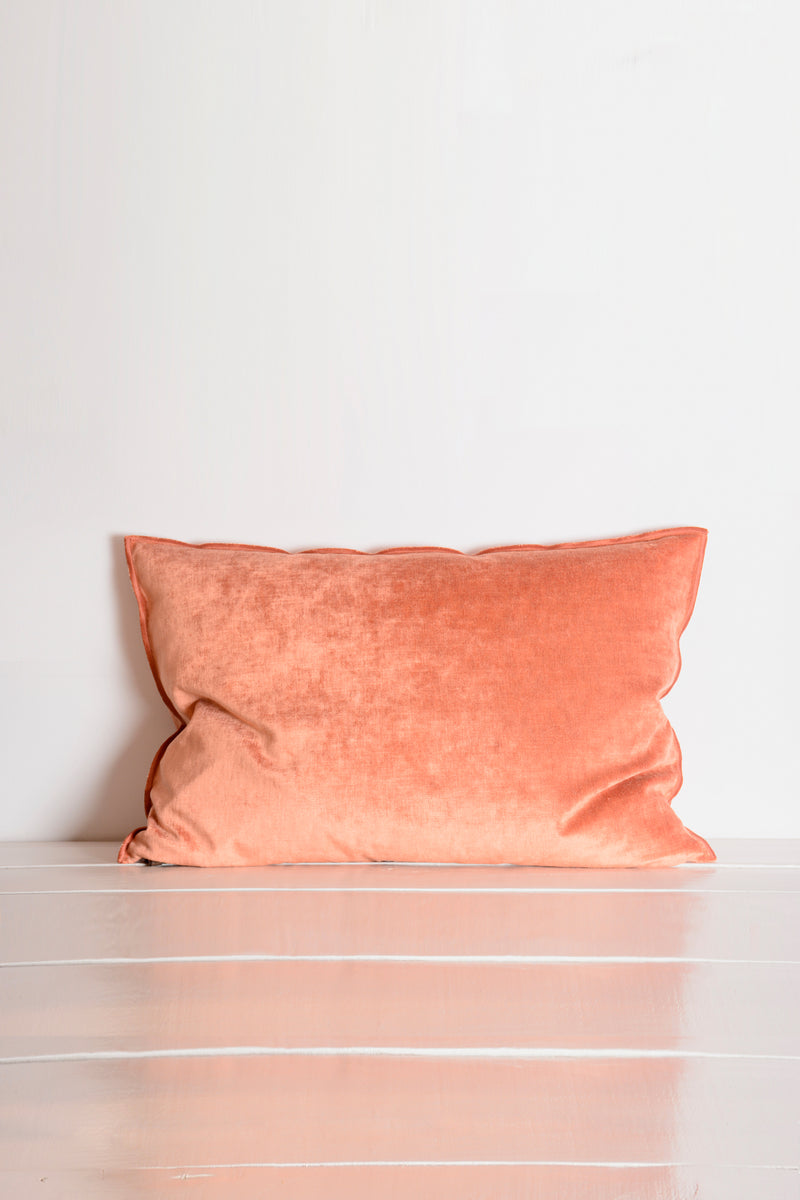 Pink velvet cushion 