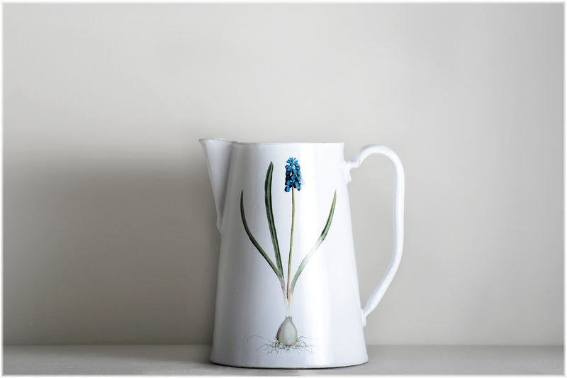 Tall jug flower and leaves