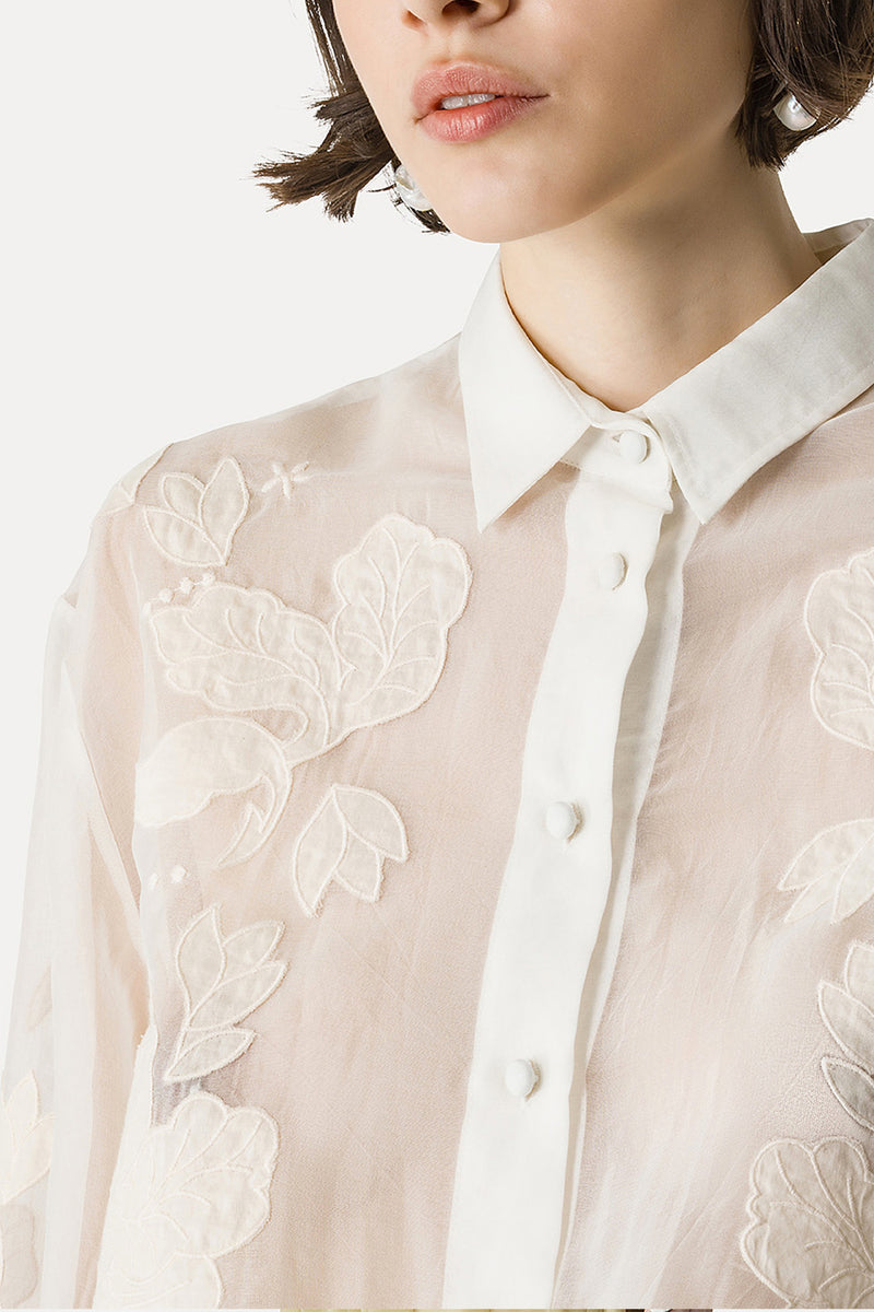 Camisa embroidery organza
