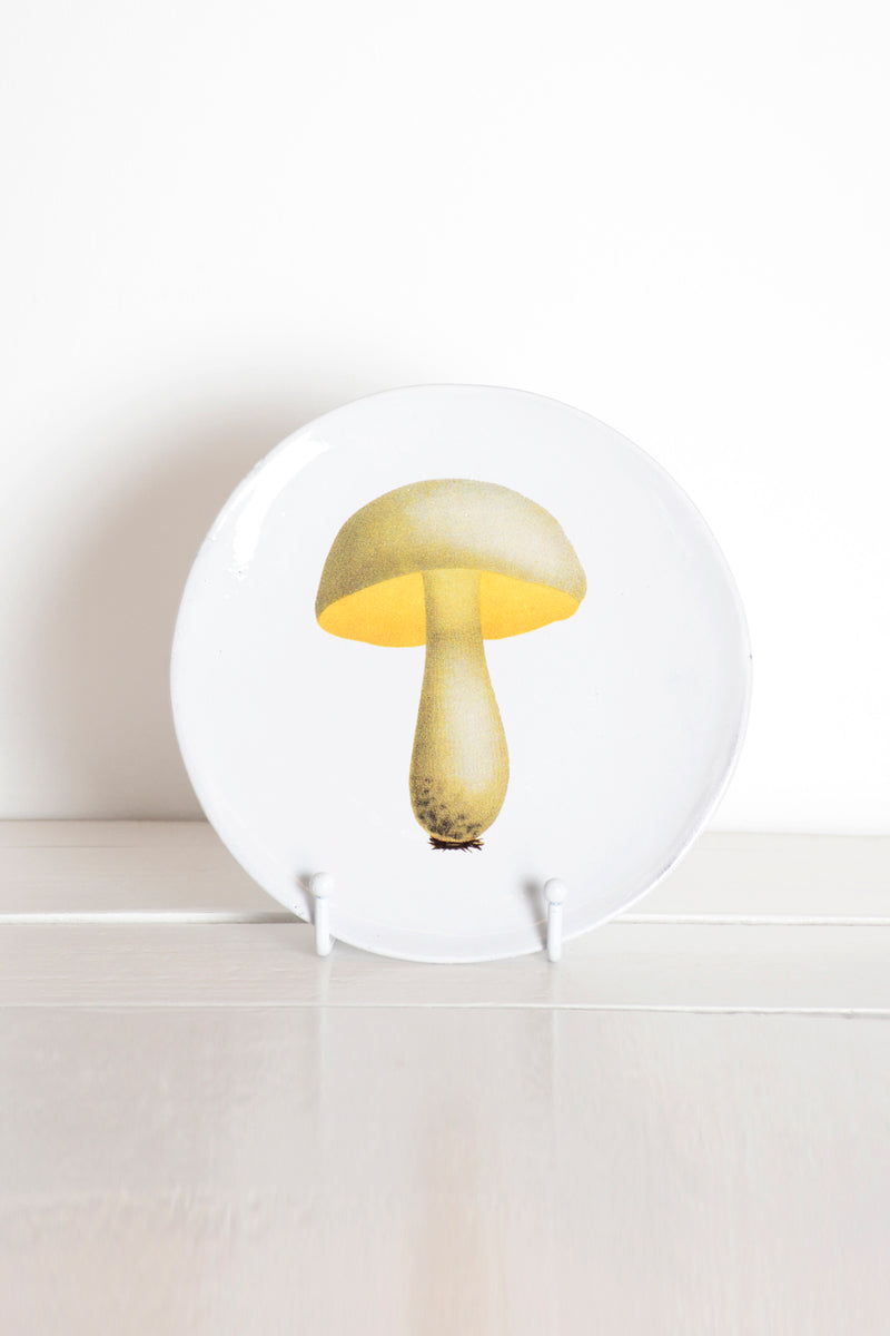 Plato pequeño boletus amarillo