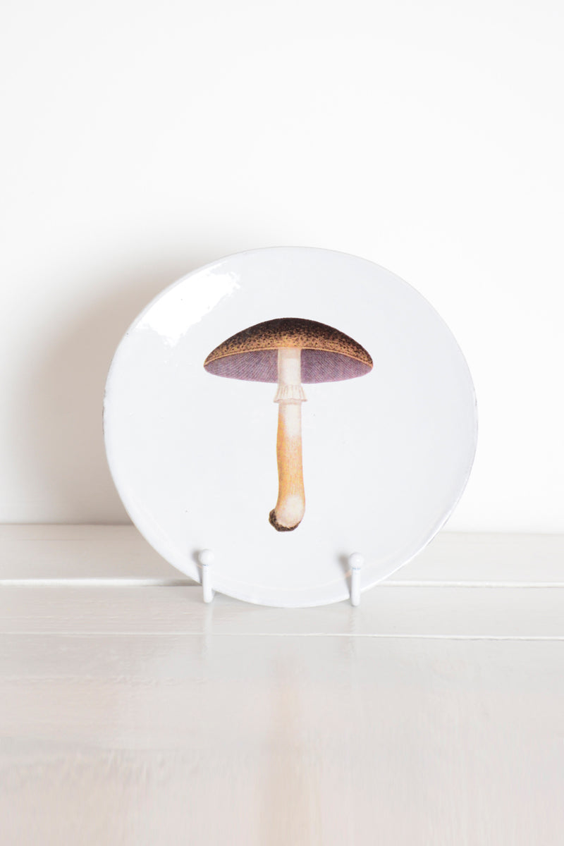 Small plate purple mushroom 